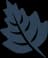 Hawthorn Logo